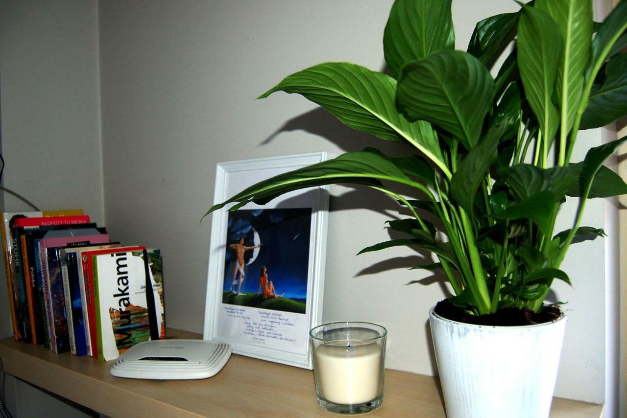 Friedleina 7 Kamienica Prezydencka Apartment Krakow Bagian luar foto
