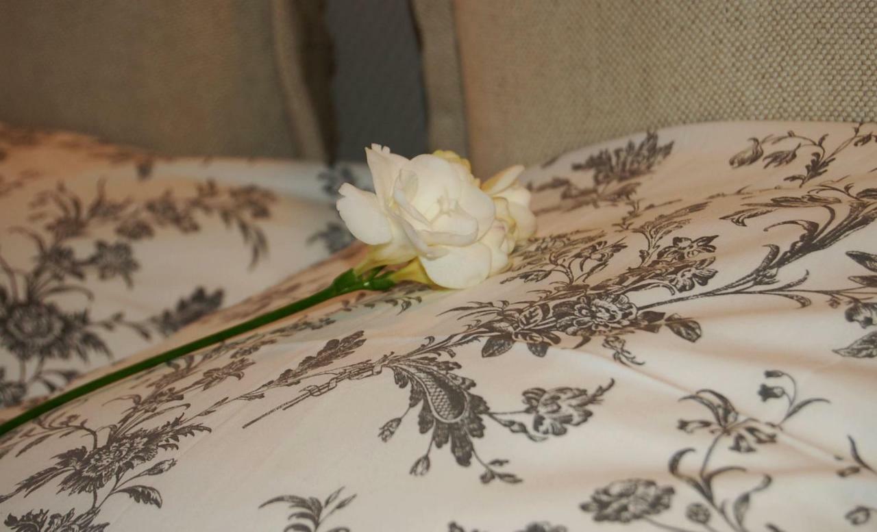 Friedleina 7 Kamienica Prezydencka Apartment Krakow Bagian luar foto